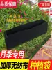 Bolsas Rectangulares Negras Engrosadas de Tela No Tejida para Plantar, Bolsas para Setos, Bolsas para Plantar Árboles, Bolsas Forro para Maceteros