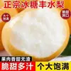 Especialidade de Shandong LaiyangNanshui Pera Fruta Fresca Crocante Doce Doce de Rocha Pera Caixa Inteira Peras Suculentas Redondas Amarelas Fengshui