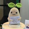 Específico ahora hacer expresión divertida muñeco patata energía positiva tejido lana adornos pepino colgante huevo tarjeta positiva