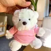Urso de Pelúcia Vestindo Suéter Suporta Personalização Temática de Feriado, Personalização de Logo e Lembrancinhas de Casamento