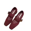 Sapatos Mary Jane Sapatos de Bico Quadrado Femininos Novos Retro Salto Grosso 2025 Palavra Estampa de Leopardo com Forro de Lã Fivela Primavera e Outono Cinta de Camurça