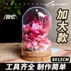 Flor Eterna Materiales para Manualidades Tapa de Vidrio Adornos Hechos a Mano Decoración con Flores Secas Regalo Festival Qixi Ramo de Nomeolvides Regalo