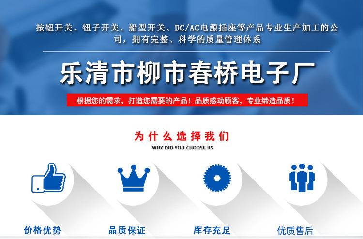 乐清市柳市春桥电子厂_01