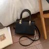 Bolsos Coreanos de Nicho, Bolsos Cruzados, Bolsos de Mujer, Bolsos de Mano Simples de Alta Gama para el Trabajo, Bolsos Tote de Hombro de Moda y Versátiles