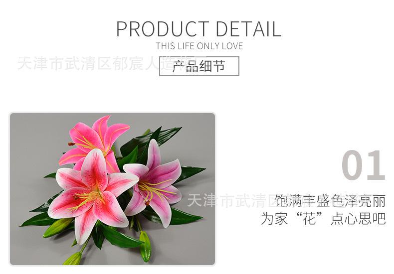 详情_09.jpg