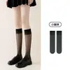 Calcetines Negros para Mujer, Calcetines de Media Pantorrilla para Primavera y Otoño, Calcetines Largos de Terciopelo, Calcetines JK Largos Hasta la Rodilla, Antideslizantes, de Compresión, Estilo Dulce Japonés