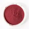 Polvo Deshidratado de Remolacha Roja Polvo de Betabel Ingrediente Colorante para Hornear Pasta Repostería Verdura Deshidratada Fruta y Verdura Polvo Seco Mayoreo