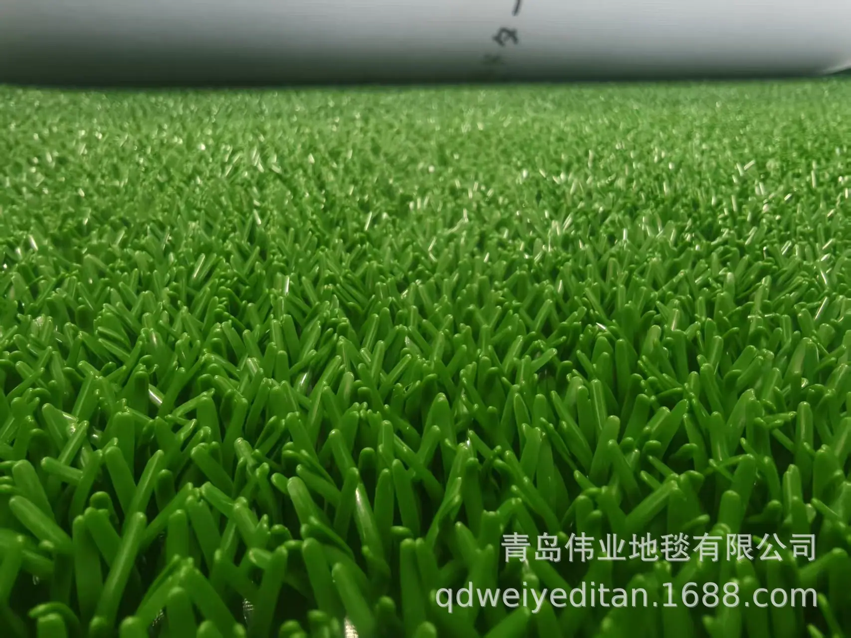 加粗加长粘金草加密增金布沾金毯河沙选金淘金草粘金草