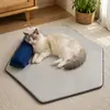 Tapete para gato adequado para todas as estações, lavável, espessado, antiderrapante, macio tapete de dormir para gatos Ragdoll e British Shorthair, almofada para gaiola e sofá