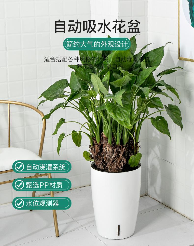 O1CN01egjGLY1Yo8Kynm7Al_!!2206