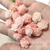 Laca Color Coral Polvo para Tallado Compactado Polvo de Concha Estéreo Flor Prensada Agujero Recto Flor de Rosa con Perlas Accesorios para Joyería DIY