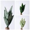 Planta Verde con Patrones tipo Jade, Planta Falsa de Piel de Tigre, Flores Artificiales al por Mayor para Decoración de Bodas, Flores Artificiales Transfronterizas de Instagram