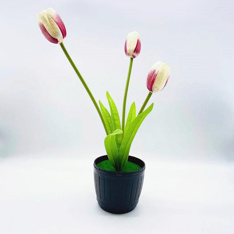 微信图片_20211001170556_副本