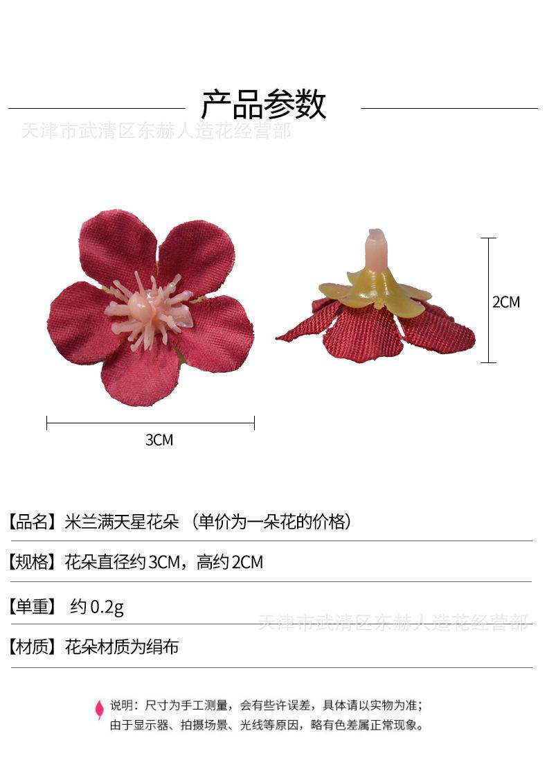 详情_01.png