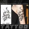 Série Shenlong Dominador Personalizado Cobertura de Cicatrizes Tatuagem Herbal Adesivos Longa Duração à Prova d'Água Tatuagens Adesivas Personalizadas Incríveis para Homens e Mulheres