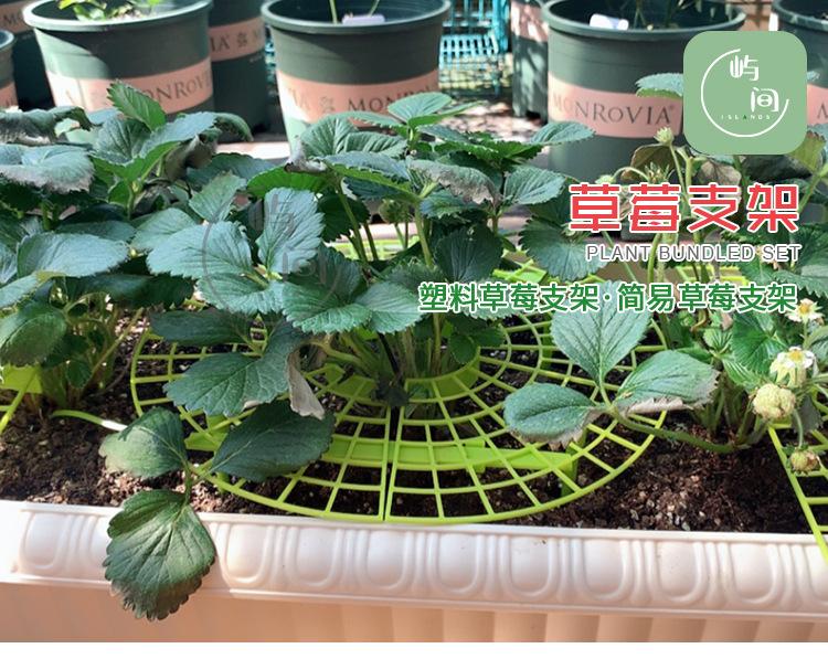 草莓架_01.jpg