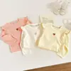 Nova Camiseta Infantil Estilo Outono Falsa Duas Peças, Camiseta Básica Manga Longa para Meninas Estilo Coreano, Camiseta Manga Longa