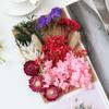 [Kit de Materiales para Repujado A5] Flores Secas Flores Preservadas Marco de Fotos Kit de Materiales para Repujado Materiales Florales DIY Vela Aromática Flores Secas