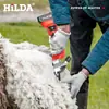 Hilda Hilda Rojo Litio Eléctrico Tijeras para Lana Litio Transfronterizo Nuevo Velocidad Ajustable Recargable Lana Eléctrico Tijeras