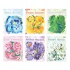 Serie de Flores Simples para Plantas Estudiante Sal Pegatina Decorativa para Collage de Diario de Mano Pegatina Decorativa para Diario de Mano Impermeable PET Flor