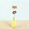 Espécimes de Flores Secas de Gipsofila e Rosa em uma Garrafa dos Desejos, um Presente para Melhores Amigos no Dia dos Namorados Qixi
