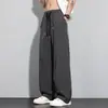 Pantalones de seda helada para hombre transfronterizos, pantalones largos finos de verano, frescos y transpirables, corte holgado, estilo de pierna recta, adecuados para deportes y uso casual para adolescentes