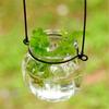 Garrafa de Vidro de Vaso Hidropônico Pequena Garrafa de Abóbora com Arranjo de Flores (Enviar Anel de Ferro) Planta Verde Pendurado Garrafa Pendurado Vaso Pendurado Vaso de Flores