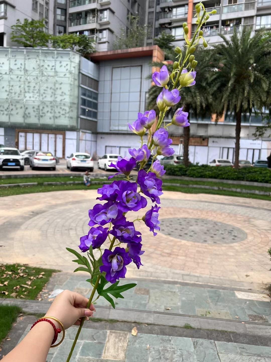 微信图片_20240724141206.jpg