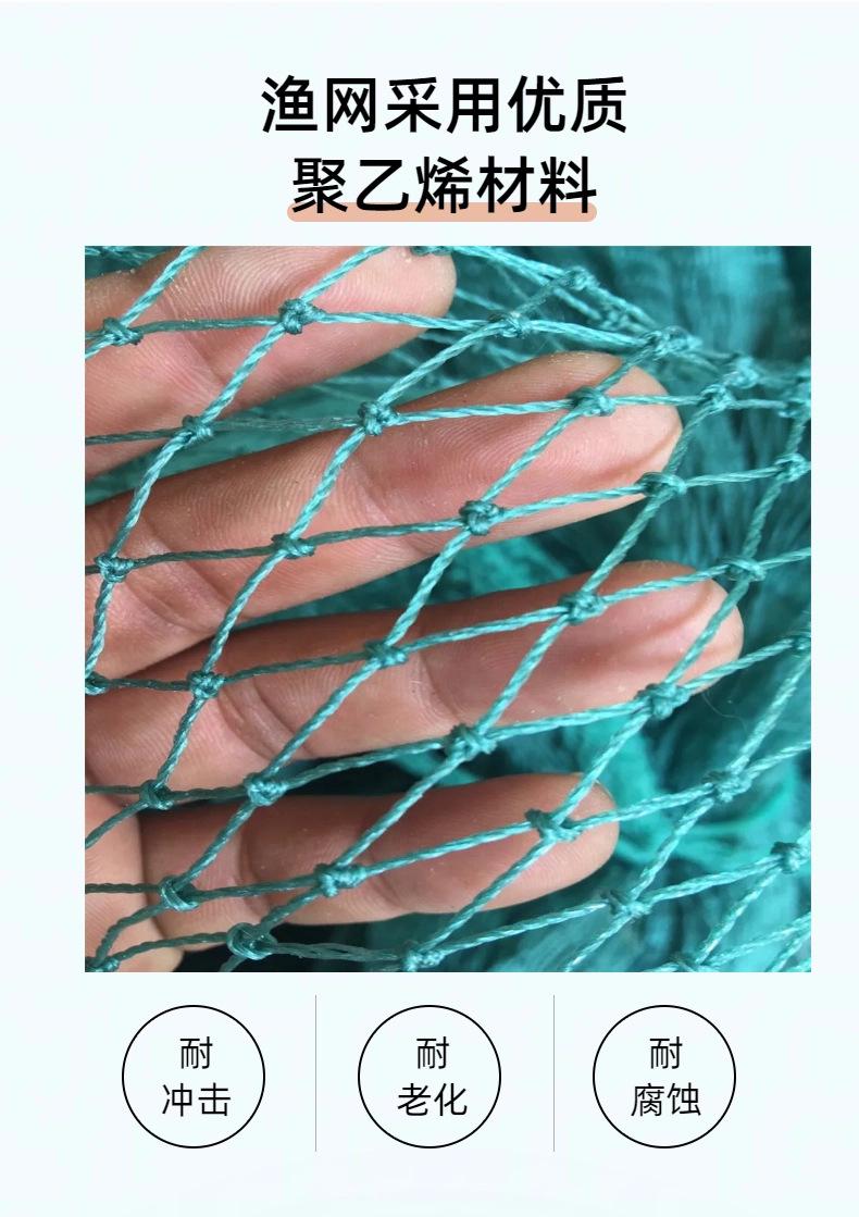 详情 (7).jpg