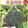 Malla Base Inferior con Agujeros para Macetas de Jardín, Antiderrames, Transpirable a Prueba de Insectos para Trasplante de Suculentas y Plantas Verdes, Lámina de Plástico Filtrante Recortable