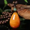 Cadena para Suéter de Cera de Abejas Ámbar Imitación Incrustada con Conchas Fósiles de Plantas Collares de Moda para Hombres y Mujeres Accesorios de Transmisión en Vivo de Exposición