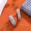 Pendientes Elegantes de Alta Gama S925 con Aguja de Plata, Circonita, Forma de Serpiente, Versátiles, Moda, Lujo Ligero, Hebilla de Oreja para Mujer