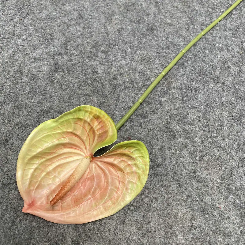 香槟色.JPG