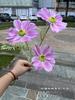 Nueva fábrica de comercio exterior de simulación cosmos 3 flocado gesang flor boda camino plomo flores falsas al por mayor pieza entera