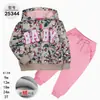 Comercio Exterior Ropa Infantil Primavera y Otoño Conjunto Infantil de Dos Piezas Material Sudadera Sudadera con Capucha Ropa Infantil para Bebés Ropa de Salida [Al por Mayor]