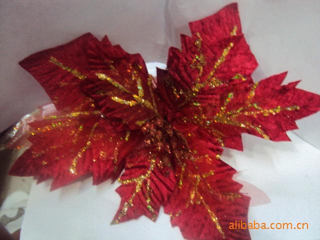 DSC00195