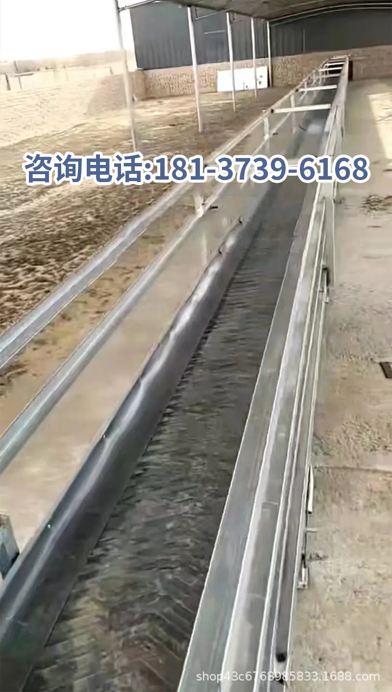 羊用草料输送带-详情_05.jpg