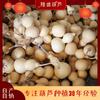 Venta al por mayor de calabaza de Liaocheng 8-15cm calabaza blanca sub-cintura tamaño mediano y pequeño cultivo juego artesanía calabaza blanca