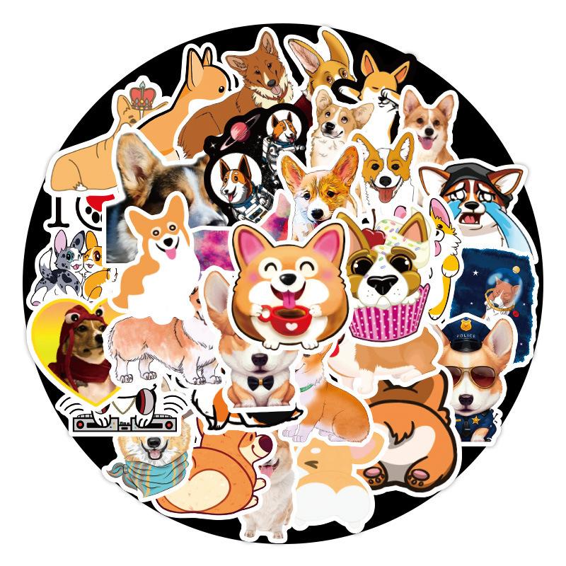 柯基犬_03