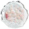 Accesorios para uñas con camelia en polvo de destello fino, accesorios para uñas con mariposas luminosas mixtas, accesorios para pendientes Joker, venta al por mayor
