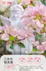 Plántulas de Buganvilia en Maceta con Flores, Plántulas Extra Grandes, Sakura Zhanghong, Interior Balcón, Floración Multitemporada, Enredadera de Alto Nivel