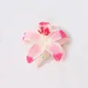 Clip Grande de Flor de Narciso Nuevo Transfronterizo Pinza para el Cabello Súper Hada Linda en la Parte Posterior de la Cabeza Elegante Versátil Accesorio para el Cabello para Mujeres