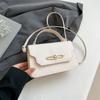 2025 Nuevo Diseño Nicho Moda Retro Bolso Cuadrado Pequeño Bolso Versátil de Hombro Cruzado para Mujer Bolso de Mano para Viajar