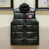 Chaleco Brillante Europeo Transfronterizo Lavable para Hombre de Algodón Plumón con Cuello Vertical Talla Grande Casual Chaleco Superior Combinable