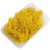 Kit de Materiais DIY Musgo Eterno Micro-Paisagismo Atacado Materiais Florais Decoração Flores Naturais Acessórios Frete Internacional Natal