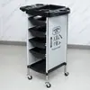 Carrinho de Ferramentas para Salão de Cabeleireiro Loja da Moda Carrinho para Coloração e Permanente de Cabelo Carrinho de Armazenamento para Cabeleireiros