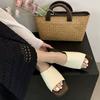 Pantuflas de Suela Plana para Mujer, Nueva Ropa Exterior de Verano, Faldas, Chanclas de Playa