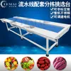 Fabricante Produz Linha de Seleção e Transporte de Estação de Trabalho de Camada Dupla, Equipamento de Transporte de Refeições para Cozinha, Equipamento de Processamento de Vegetais