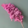 Decoración Hogar Estilo Nórdico Flores Secas Tallo Único Forma de Torre Madera Hortensia Flores Eternas Multicolor Venta al por Mayor en Stock