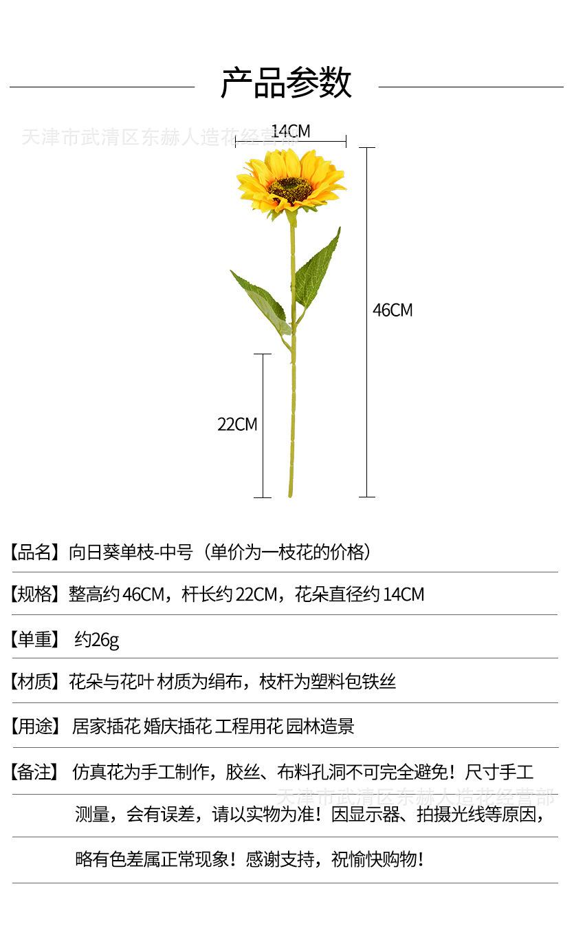 详情_01.jpg